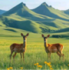 WWW,av307·COM网站APP WWW,av307·COM网站APP