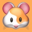 WWW,av460·COM网站APPAPP应用