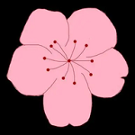 WWW,208av·COM网站APP最新版