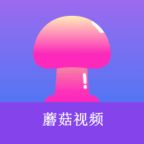 成人看视频最新版
